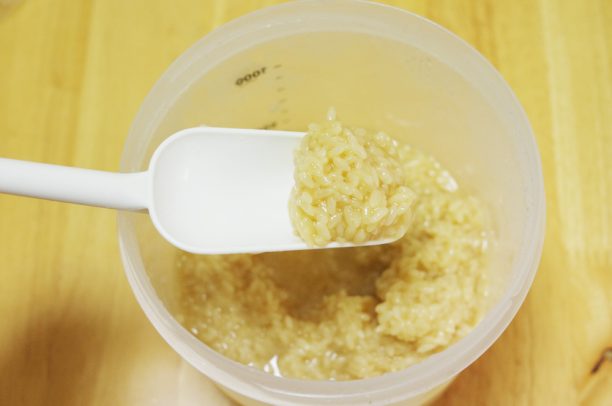 塩こうじ完成