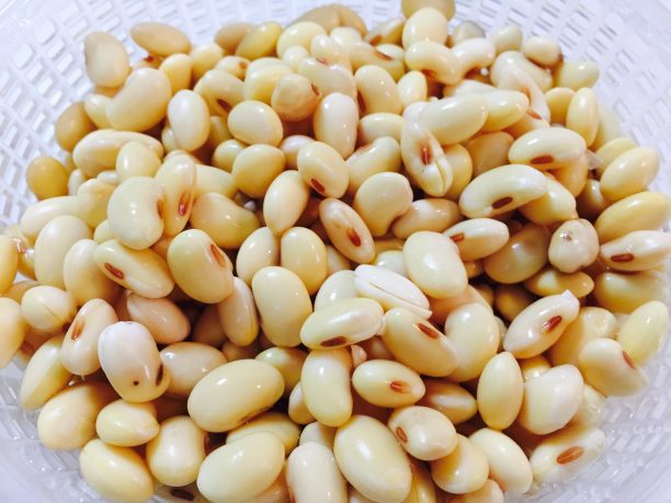 大豆を一晩漬ける