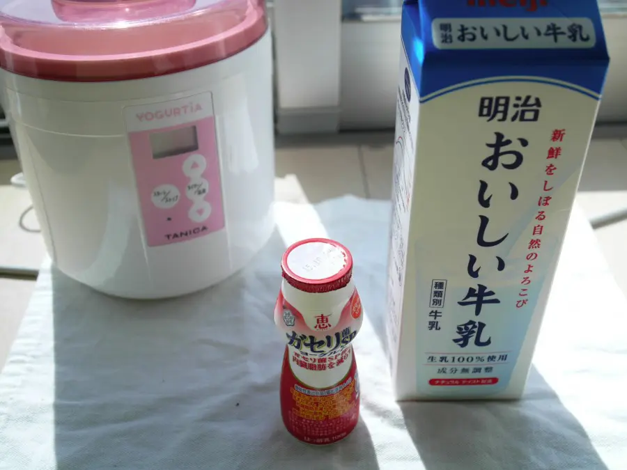恵　ガセリ菌SP株　ヨーグルト×おいしい牛乳