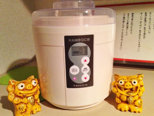 大失敗KAMOSICO