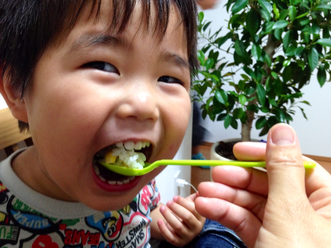 トウモロコシご飯をせんちゃんが食べる