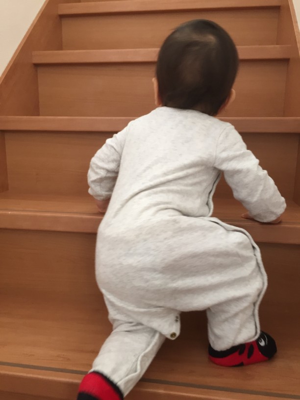 階段をのぼる、こはるちゃん