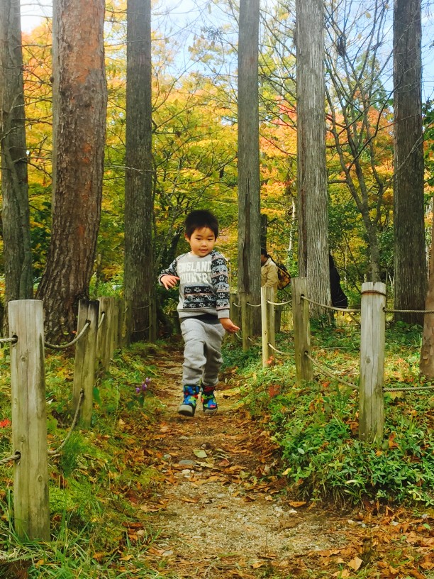 森を走る子供たち width=