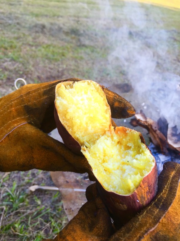 焼き芋