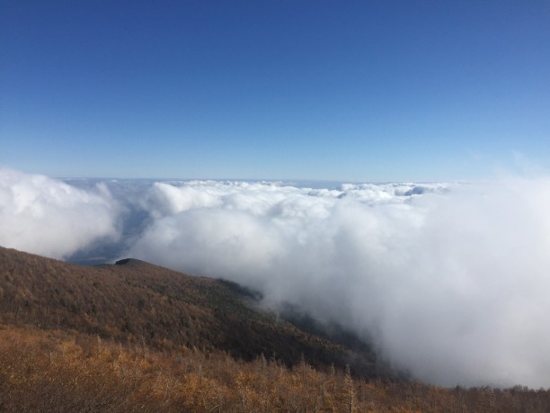 富士山の雲海