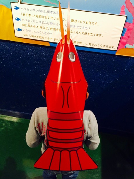 ザリガニの帽子をかぶるせんちゃん