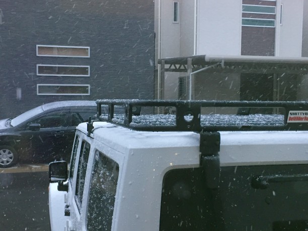 雪が降っている