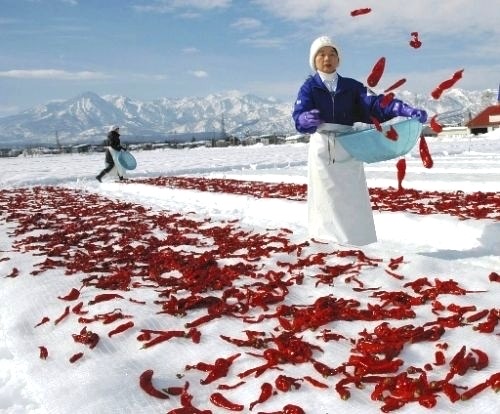 雪さらし