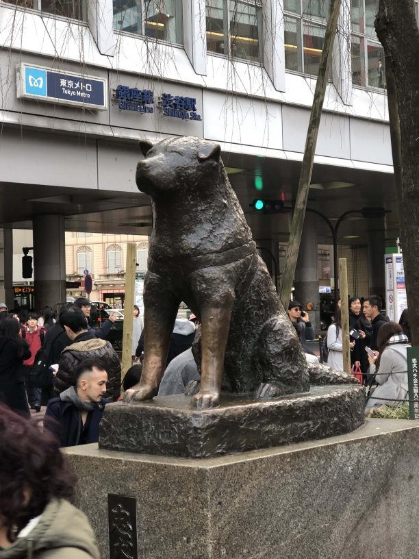 ハチ公