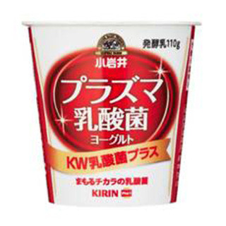 プラズマ乳酸菌
