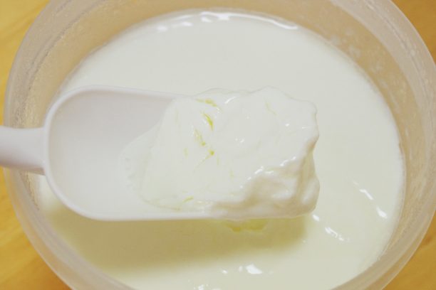 THE GREEKヨーグルトと明治おいしい牛乳でヨーグルト完成
