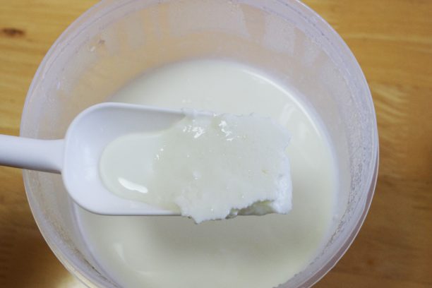 出来上がったヨーグルト