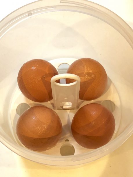 温玉スタンドと卵をセットした内容器