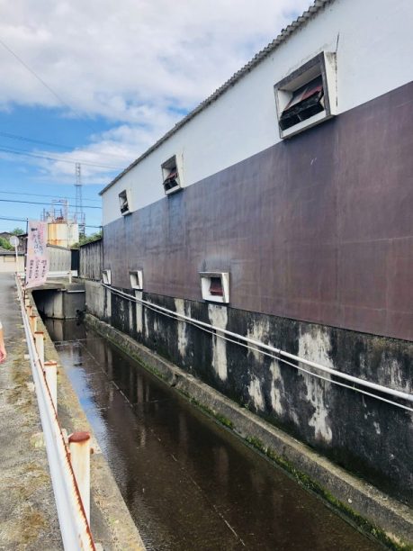 澤田酒造横の水路