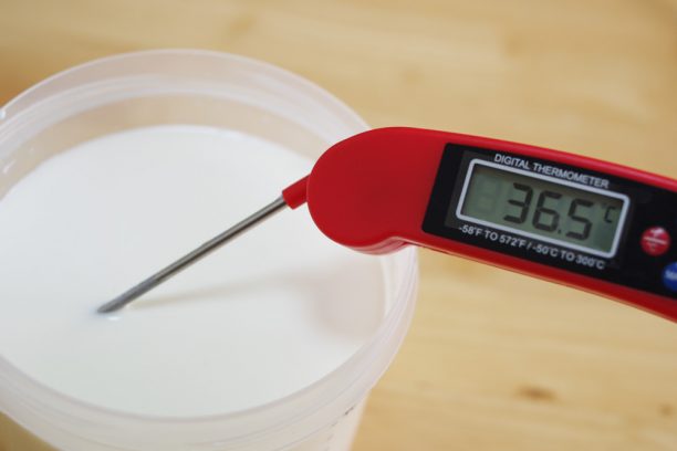 36.5℃の牛乳と生クリーム