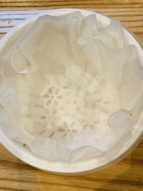 ペーパーフィルターをセットした水切りバスケットS