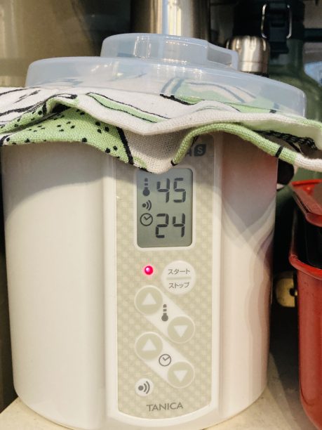 45℃/24時間で発酵中のヨーグルティアS