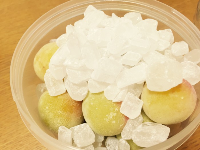 熱湯消毒したKAMOSHIKOの専用容器に、冷凍梅と砂糖を入れ軽く混ぜ合わせます。