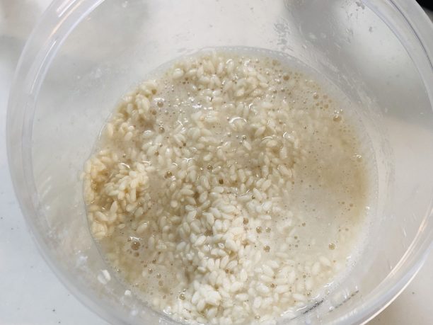 レンジ消毒したヨーグルティアの内容器に、ほぐした米こうじと60度のお湯を注いでよく混ぜます。