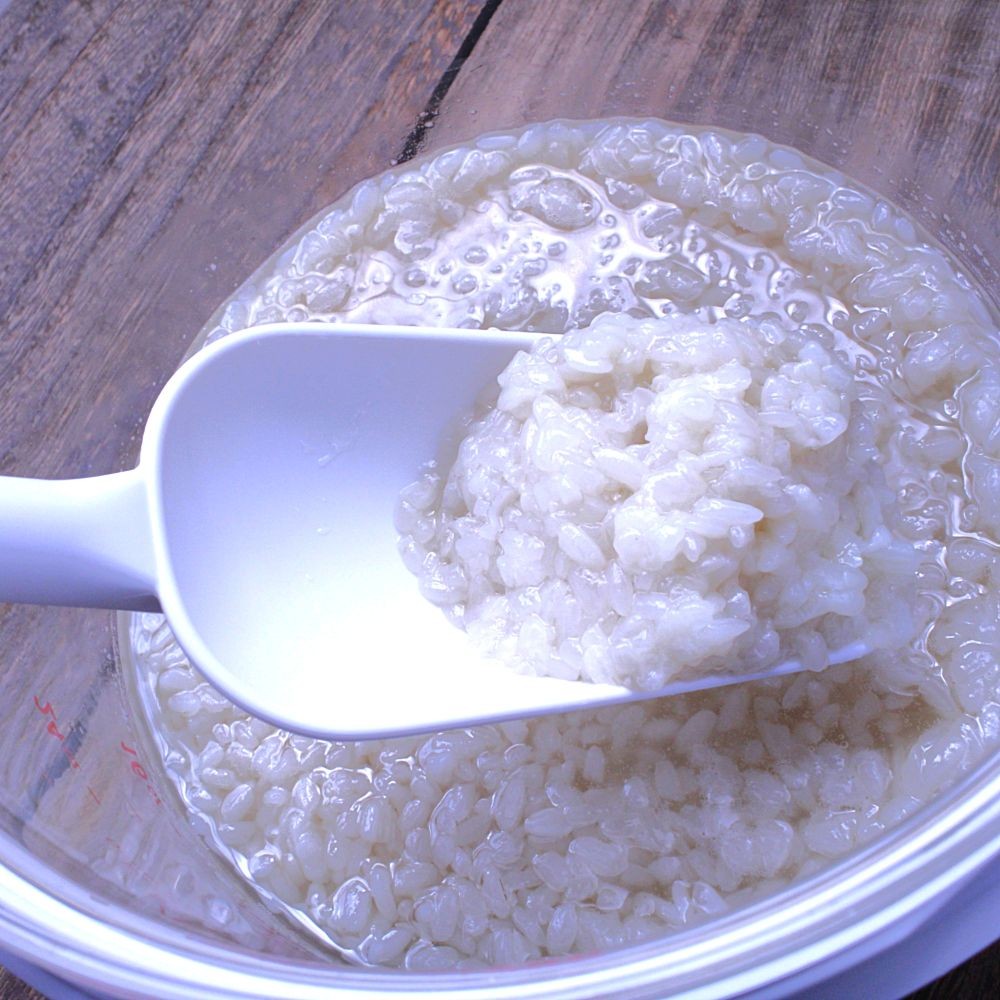 塩麹/自分でつくる発酵キット